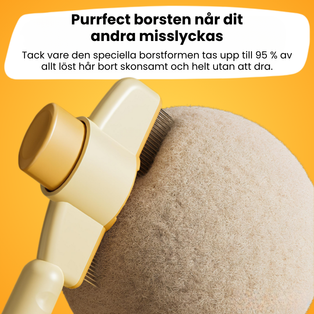 Purrfect borsten