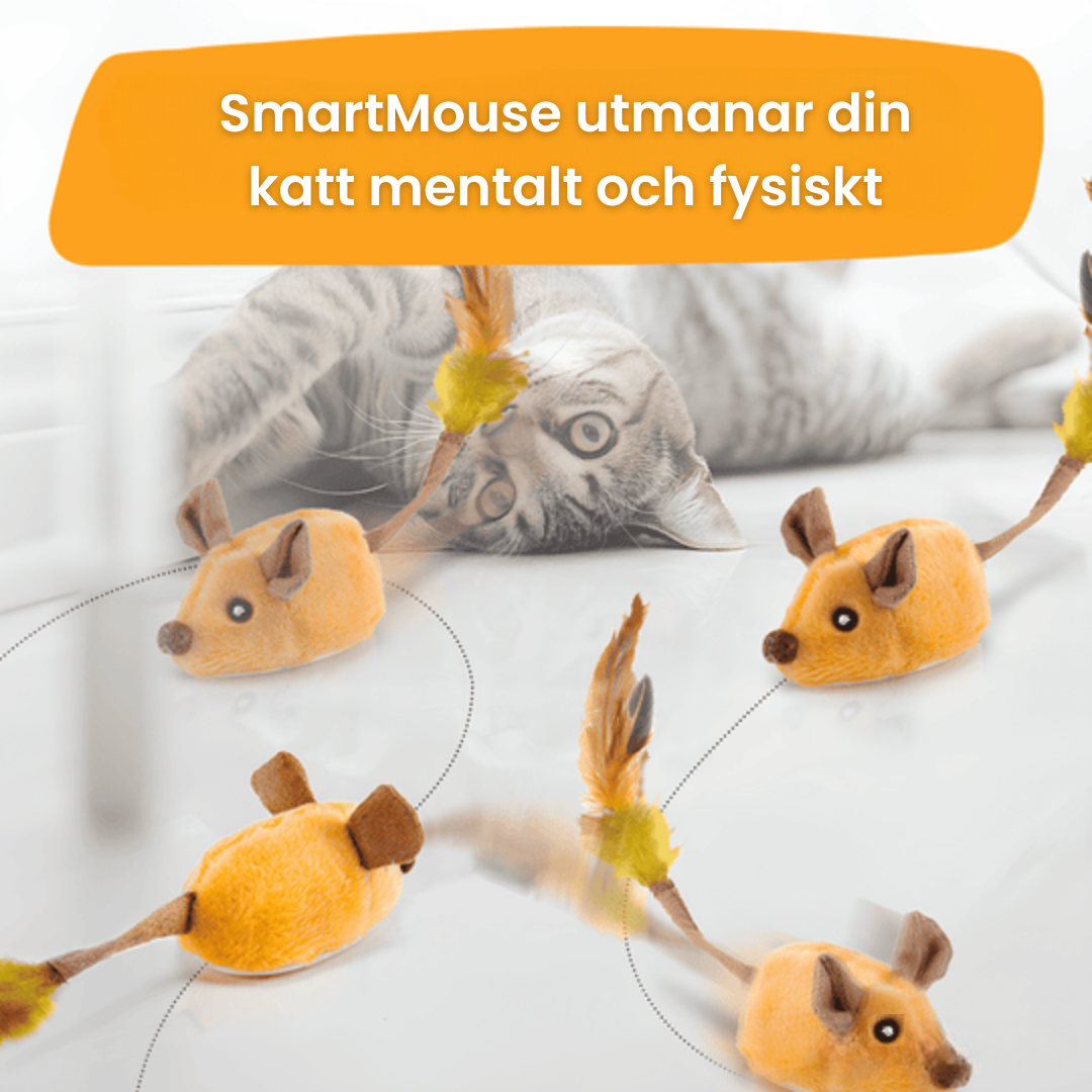 SmartMouse